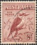 动物:大洋洲:澳大利亚:au193201.jpg