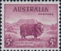 动物:大洋洲:澳大利亚:au193801.jpg