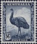 动物:大洋洲:澳大利亚:au194201.jpg