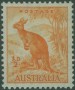 动物:大洋洲:澳大利亚:au194901.jpg