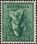 动物:大洋洲:澳大利亚:au195601.jpg