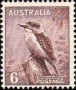 动物:大洋洲:澳大利亚:au195602.jpg
