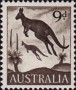 动物:大洋洲:澳大利亚:au195901.jpg