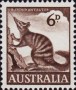 动物:大洋洲:澳大利亚:au196001.jpg