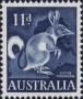 动物:大洋洲:澳大利亚:au196101.jpg