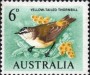动物:大洋洲:澳大利亚:au196501.jpg