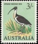 动物:大洋洲:澳大利亚:au196507.jpg