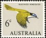 动物:大洋洲:澳大利亚:au196602.jpg
