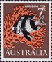 动物:大洋洲:澳大利亚:au196603.jpg