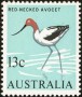 动物:大洋洲:澳大利亚:au196607.jpg