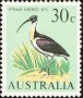 动物:大洋洲:澳大利亚:au196612.jpg