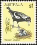 动物:大洋洲:澳大利亚:au198008.jpg