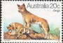 动物:大洋洲:澳大利亚:au198010.jpg