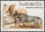 动物:大洋洲:澳大利亚:au198013.jpg