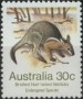 动物:大洋洲:澳大利亚:au198104.jpg