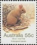 动物:大洋洲:澳大利亚:au198106.jpg