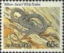 动物:大洋洲:澳大利亚:au198205.jpg