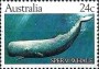 动物:大洋洲:澳大利亚:au198208.jpg