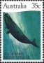 动物:大洋洲:澳大利亚:au198209.jpg
