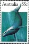 动物:大洋洲:澳大利亚:au198210.jpg