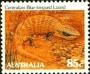 动物:大洋洲:澳大利亚:au198303.jpg