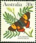 动物:大洋洲:澳大利亚:au198309.jpg