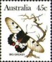 动物:大洋洲:澳大利亚:au198311.jpg