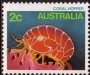 动物:大洋洲:澳大利亚:au198401.jpg