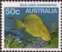 动物:大洋洲:澳大利亚:au198404.jpg