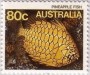 动物:大洋洲:澳大利亚:au198505.jpg