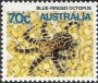 动物:大洋洲:澳大利亚:au198606.jpg