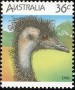 动物:大洋洲:澳大利亚:au198609.jpg