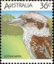 动物:大洋洲:澳大利亚:au198611.jpg