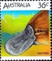 动物:大洋洲:澳大利亚:au198612.jpg