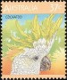 动物:大洋洲:澳大利亚:au198702.jpg