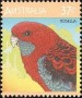 动物:大洋洲:澳大利亚:au198704.jpg