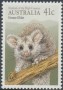 动物:大洋洲:澳大利亚:au199001.jpg