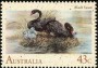 动物:大洋洲:澳大利亚:au199101.jpg