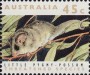 动物:大洋洲:澳大利亚:au199204.jpg