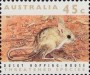 动物:大洋洲:澳大利亚:au199205.jpg