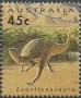 动物:大洋洲:澳大利亚:au199301.jpg