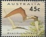 动物:大洋洲:澳大利亚:au199303.jpg