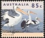 动物:大洋洲:澳大利亚:au199402.jpg