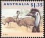 动物:大洋洲:澳大利亚:au199403.jpg