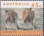 动物:大洋洲:澳大利亚:au199406.jpg