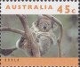 动物:大洋洲:澳大利亚:au199409.jpg