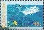 动物:大洋洲:澳大利亚:au199508.jpg