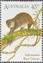 动物:大洋洲:澳大利亚:au199602.jpg