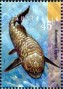 动物:大洋洲:澳大利亚:au199702.jpg