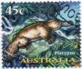 动物:大洋洲:澳大利亚:au199718.jpg